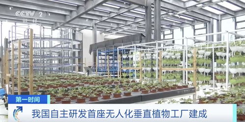 世界初！中國獨自開発の自動化垂直植物工場、生物技術普及サービスを牽引