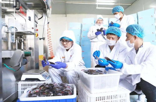 不是吧，食品檢測(cè)技術(shù)都這么先進(jìn)了嗎？生物技術(shù)推廣服務(wù)直擊行業(yè)痛點(diǎn)